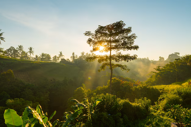 Macro e Microbem Ambiental